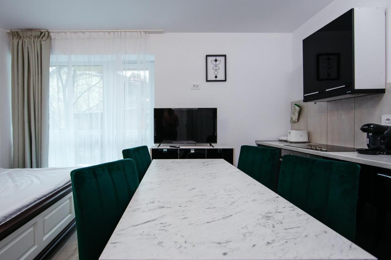 Appartamento L&V Family Studio Sinaia Esterno foto