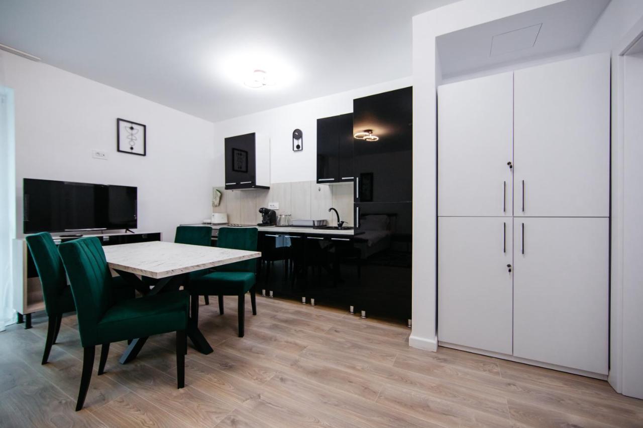 Appartamento L&V Family Studio Sinaia Esterno foto